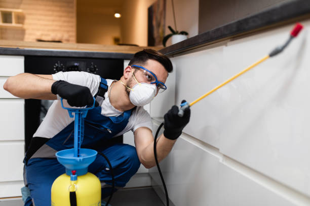 Best Local Pest Control Services  in Summerside, OH