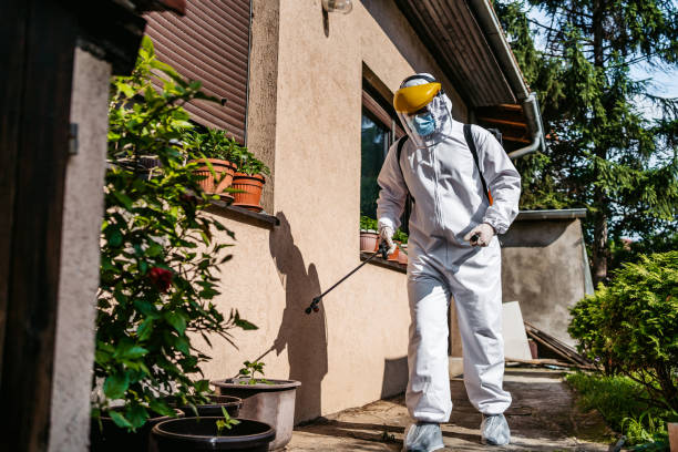 Best Wasp Removal Services  in Summerside, OH