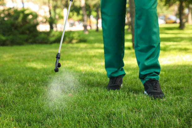 Best Pest Removal Services  in Summerside, OH