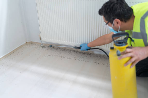 Best Bed Bug Extermination  in Summerside, OH