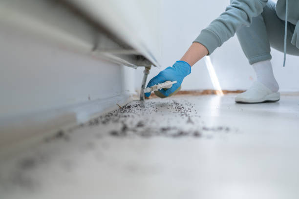 Best Residential Pest Control  in Summerside, OH