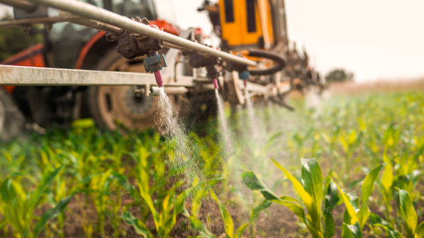 Professional Pest Control in Summerside, OH