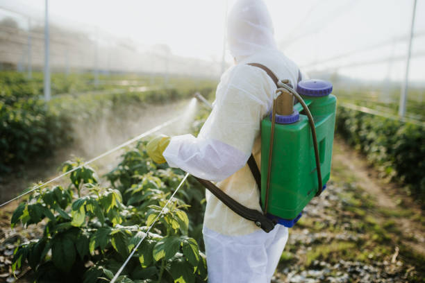Best Exterminator Services  in Summerside, OH